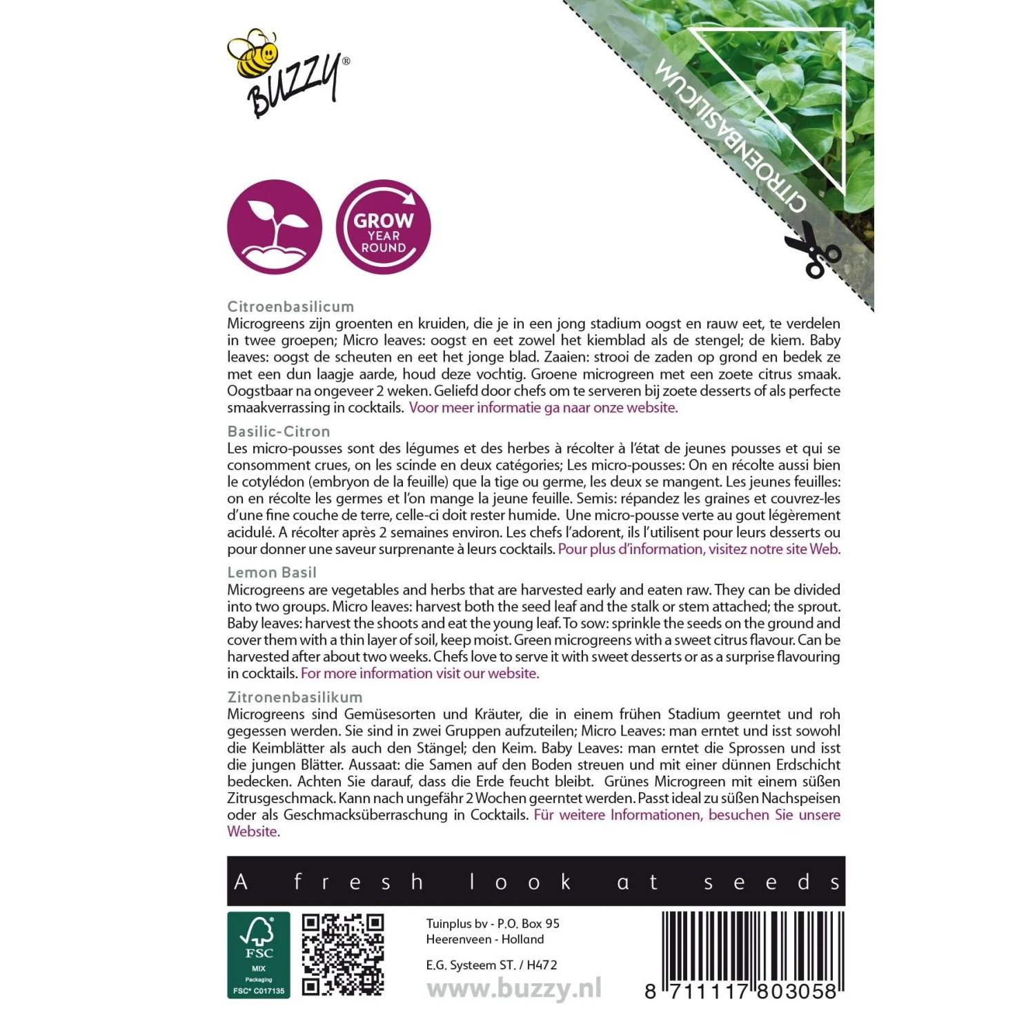Microgreens Zitronenbasilikum Saatgut ca. 1 g Frischer Zitrusgeschmack_2