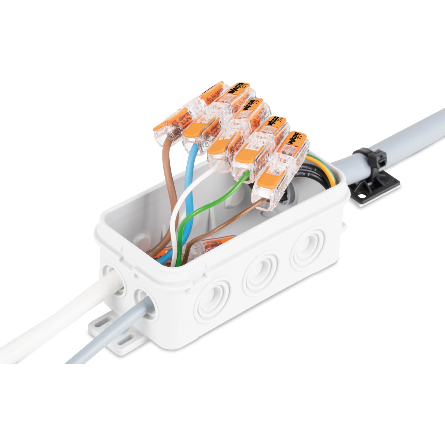 Wago Durchgangsverbinder, transparent, für 0,2-4 mm² Kabel, 10 Stück, in einer Verteilerdose mit Kabeln.