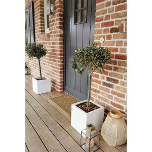 Weißer Vivanno Pflanzkübel Block 30x30x30 cm mit Olivenbaum auf einer Terrasse.