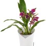 Lechuza Orchidea Color Pflanzgefäß, Ø 18 cm, Weiß matt, mit blühender Orchidee.