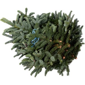 Bund Edeltanne Tannenzweige (5 kg) für Adventsschmuck und Weihnachtsdeko.