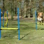 Hund springt über Hürde des Dobar Agility Sprung-Sets mit Sprungreif. Apportierspielzeug für Hunde.
