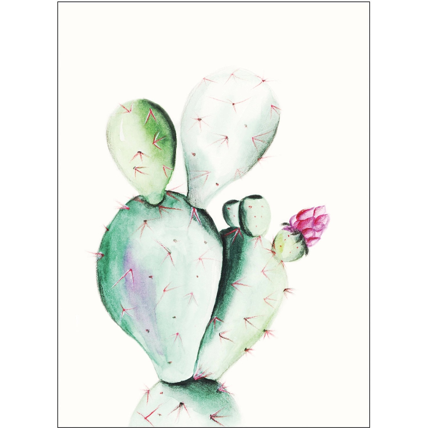 Komar Wandbild Prickly Pear 40 x 50 cm günstig online kaufen