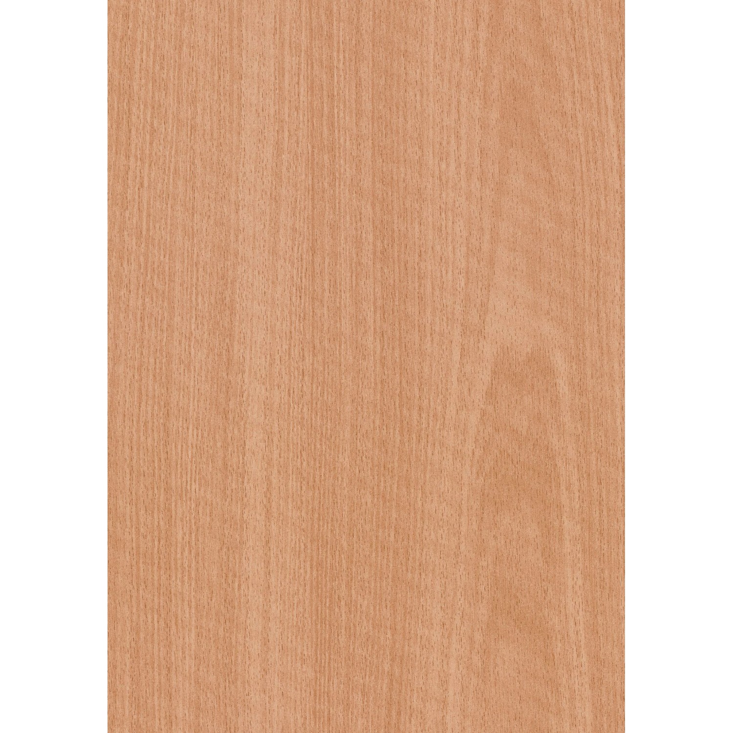 Türrahmen Dekor Buche, Holzoptik. Zarge für Tür mit Holzmaserung.