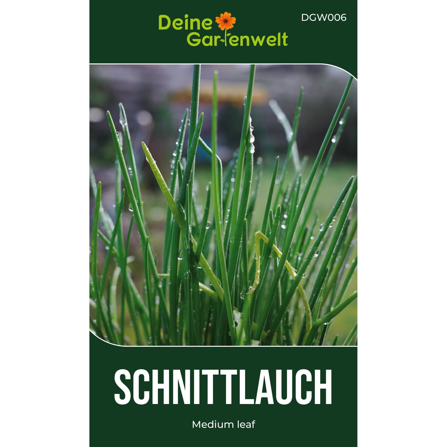 Deine Gartenwelt Schnittlauch Medium Leaf Samen