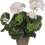 Dekorative, weiß-rosa Kunstpflanze Geranie im Topf. Natürliche Optik für Innenräume.