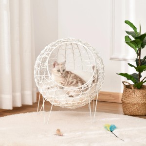 Katze im weißen Pawhut Rattan Katzenkorb mit Kissen, erhöhtes Design.