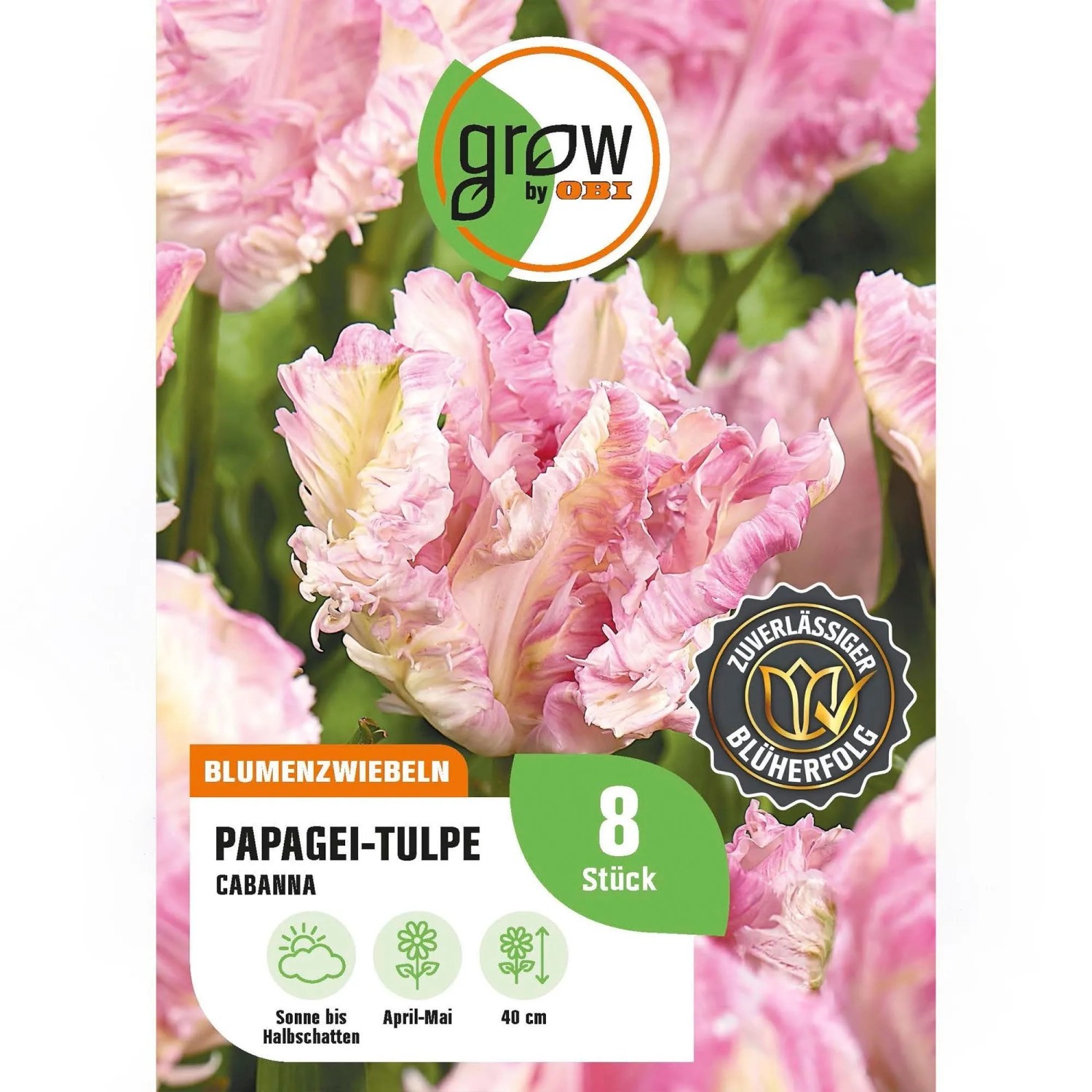 GROW by OBI Papagei-Tulpe  Cabanna Rosa 7 Stück Tulipa parrot Cabanna
