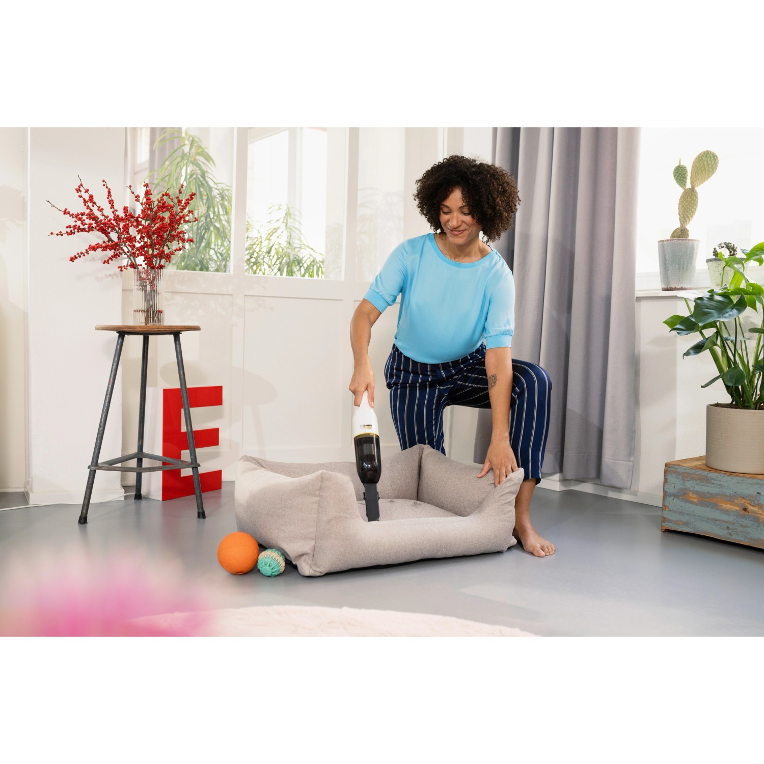 Frau saugt Hundebett mit Kärcher Akku-Handstaubsauger CVH 2. Kompakter Handsauger für Tierhaare.