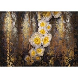 Komar Fototapete Serafina: Wandbild mit weißen Blüten und goldenen Akzenten auf dunklem Grund.