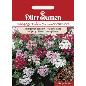 Dürr Samen Hängegeranien Mischung, einjährige Blumensamen für Balkonkästen.