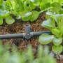 Gardena T-Stück für Sprühdüsen/Endtropfer (4,6 mm) im Micro-Drip-System im Beet.