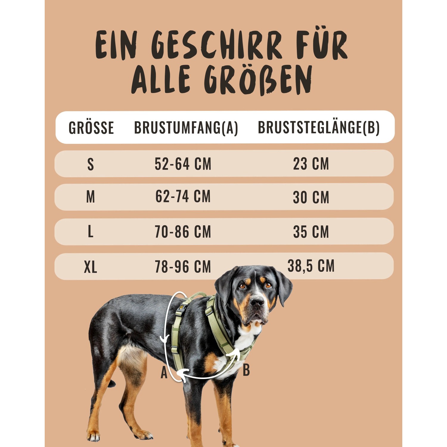 Rudelkönig Hundegeschirr Bella, Größe L: Tabelle mit Größenangaben und Hund mit Geschirr.