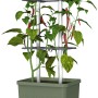 Dunkelgrünes Gusta Garden Anzuchtsgefäß Charly Chili 10L mit Rankhilfe und reifen, roten Chilis.
