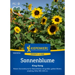 Kiepenkerl Sonnenblume 'King Kong' Samen mit großen, gelben Blüten im Garten.