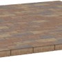 RechteckPflaster Beton Herbstbunt 20 cm x 10 cm x 6 cm kaufen bei OBI