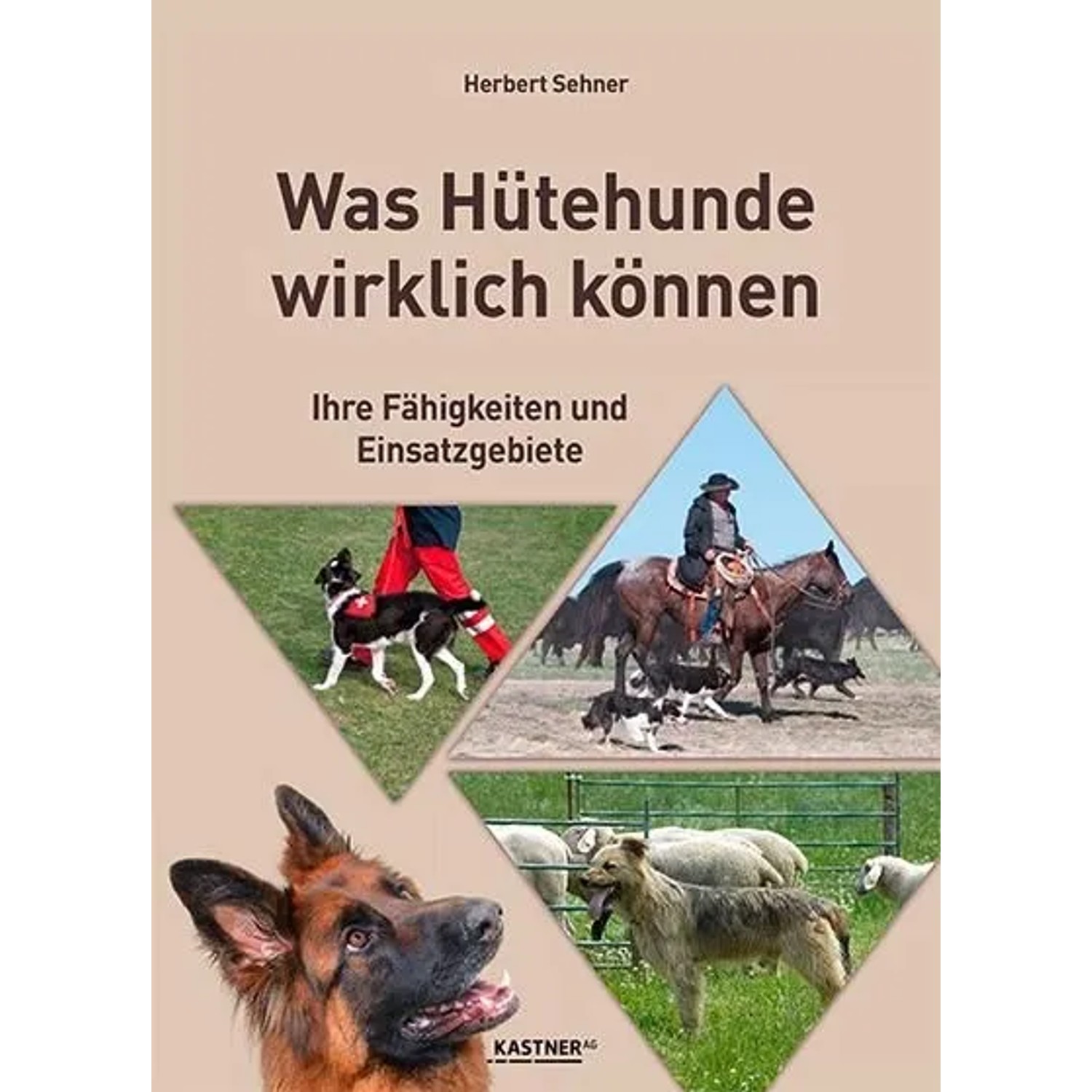 Was Hütehunde wirklich können
