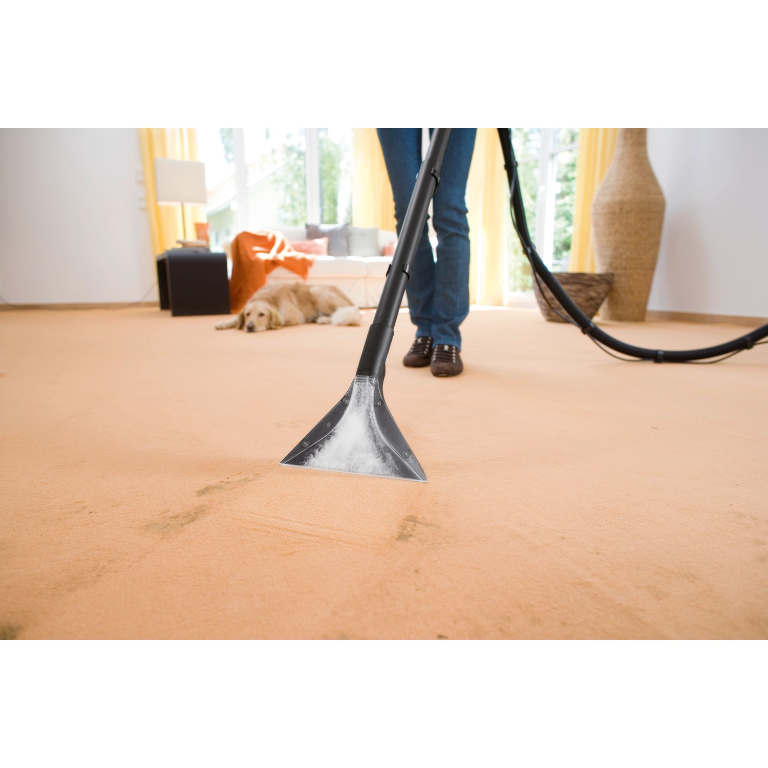 Kärcher Waschsauger SE 4004 in Nutzung auf Teppich, entfernt Flecken.