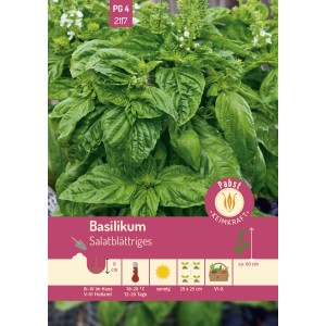 Pabst Keimkraft Basilikum Salatblättrig: Aromatische Basilikum-Pflanze mit grünen Blättern und weißen Blüten.