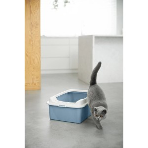 Rotho Katzentoilette Eco Bonnie Tray M in Horizontblau mit Katze.