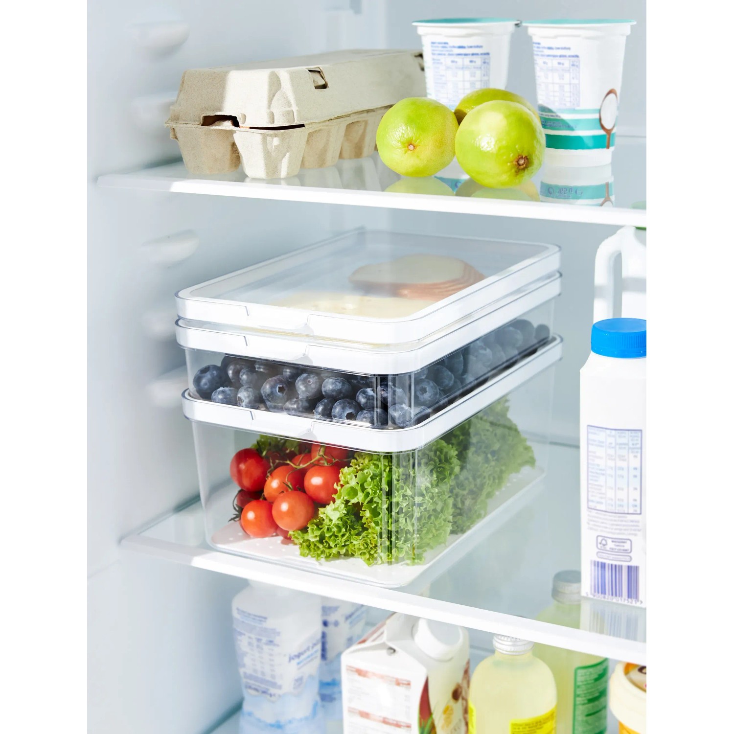 Rotho Kühlschrankorganizer Cauma 2,6 l, weiß, gefüllt mit Lebensmitteln im Kühlschrank.