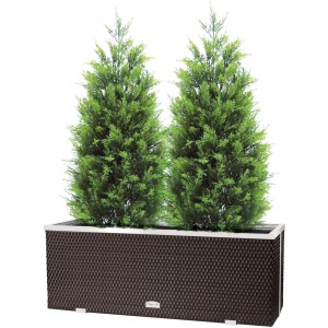 Braunes Wilk Polyrattan-Pflanzgefäß 108x39cm mit Alu-Beschlägen und zwei Pflanzen.