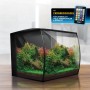 Modernes Fluval Flex 2.0 Süßwasser-Aquarienset 57l mit gebogener Front, Pflanzen, Holz und RGB-LED-Beleuchtung.