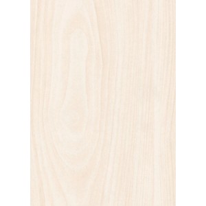 Kronoflooring Paneel in Birnbaum Weiß Optik für Wand und Decke.