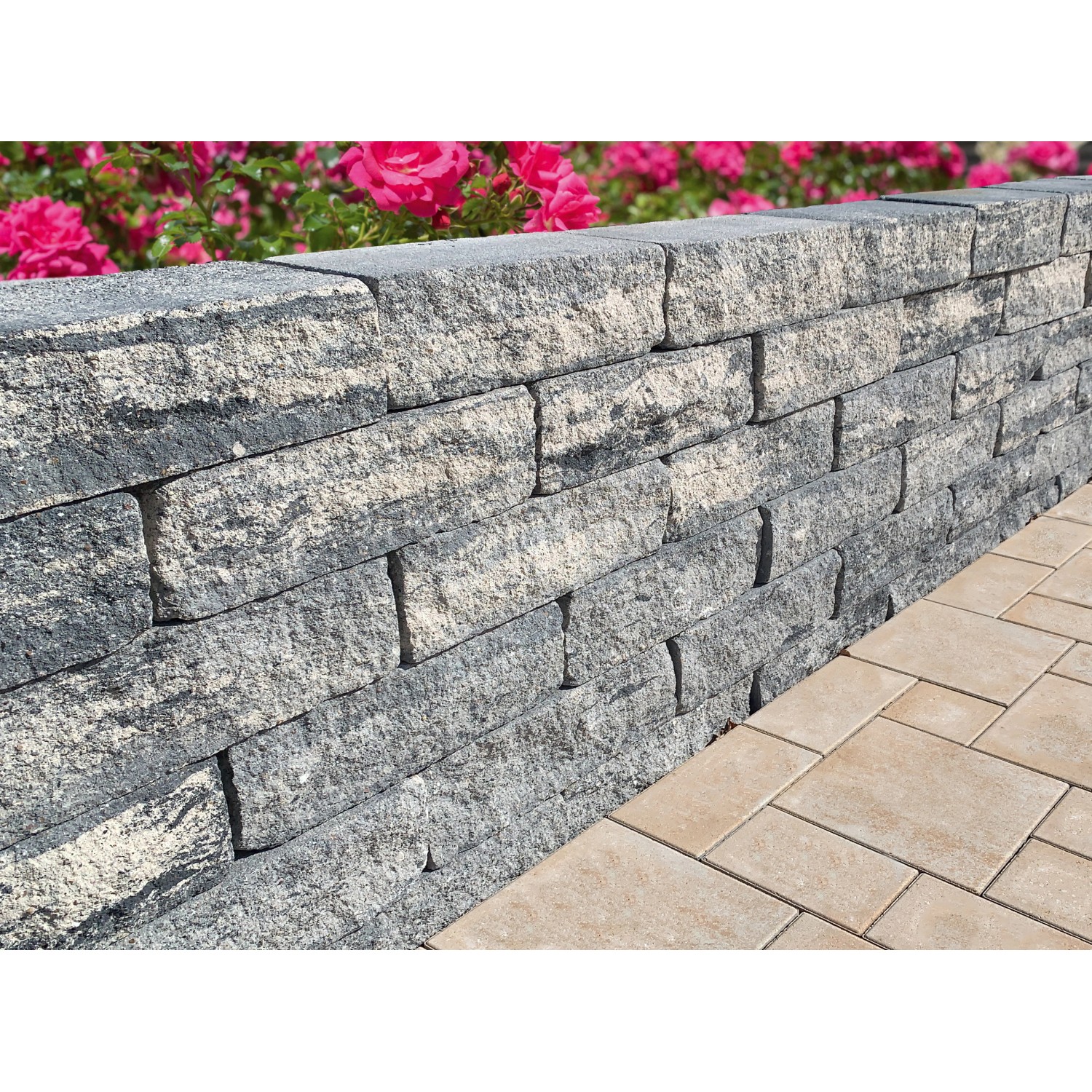 Diephaus Mauerstein Maximo Brista, weiß-schwarz, als Gartenmauer mit Blumen.