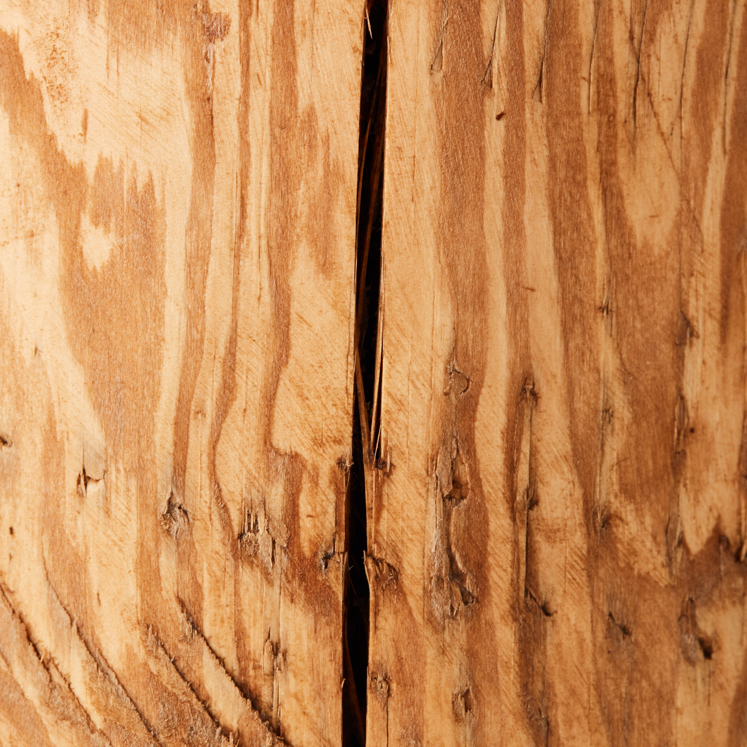 Brilliant Tischleuchte Trabo FSC®-Holz cm bei OBI hoch gebeizt Kiefer 10 kaufen