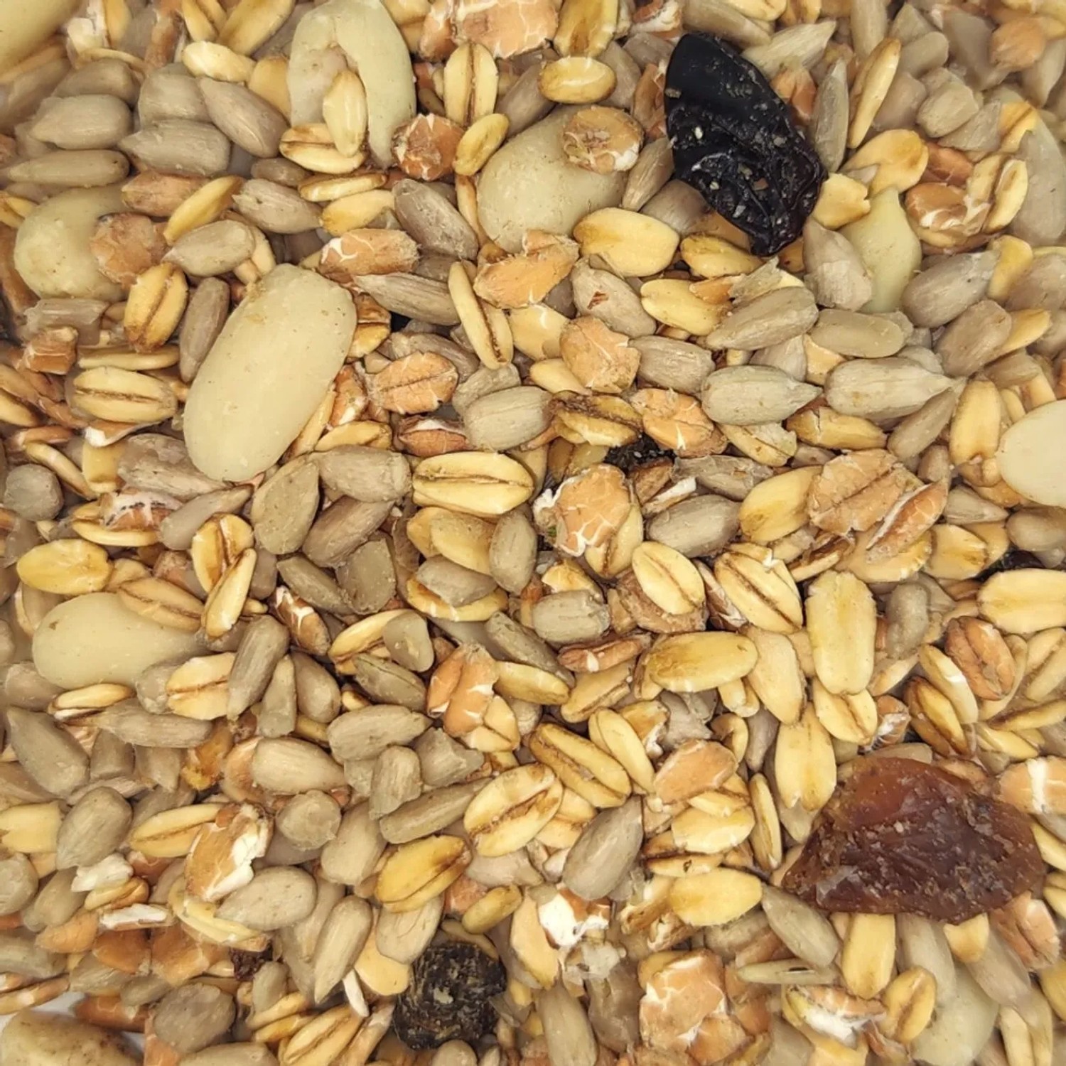 Klasebo Wildvogelfutter 20 kg aus Samen Braun