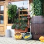 Arves Regentonne Barrique 250 l, dunkelbraun, in rustikaler Gartenumgebung mit Kürbissen.
