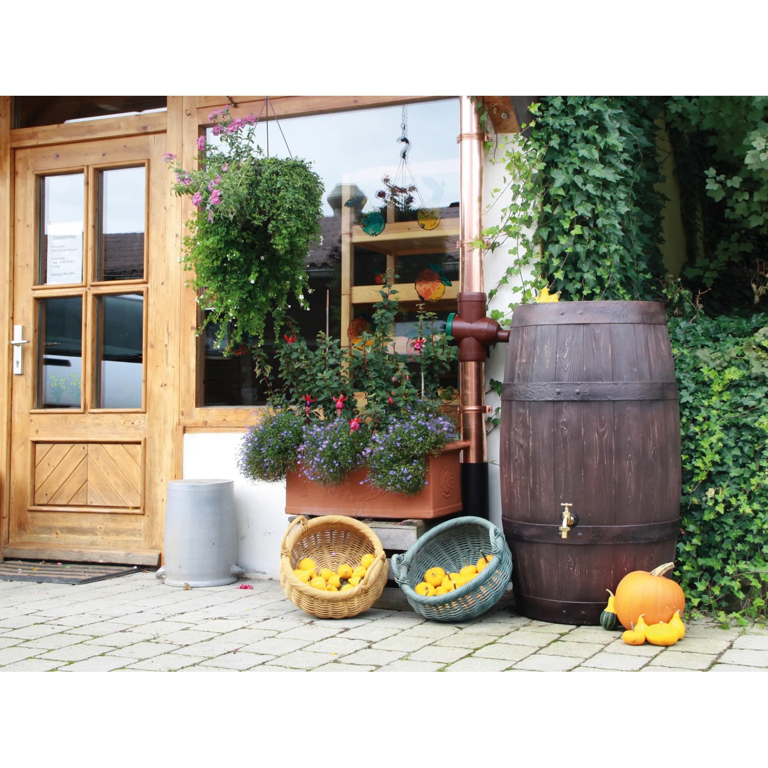 Arves Regentonne Barrique 250 l, dunkelbraun, in rustikaler Gartenumgebung mit Kürbissen.