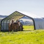 ShelterLogic Weidezelt mit Pferden im Grünen. Ordnungssystem für Heu und Tiere.