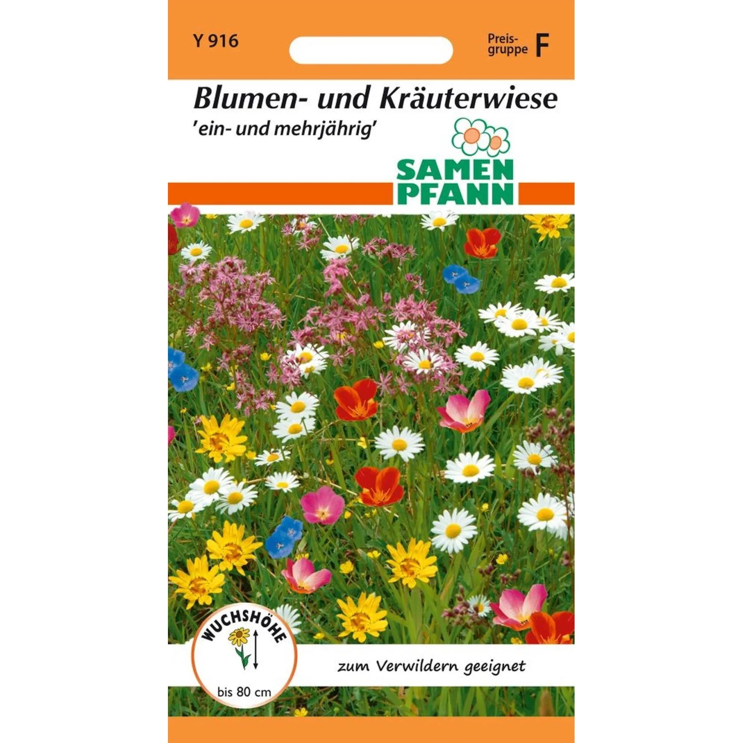 SAMEN PFANN Blumen- und Kräuterwiese