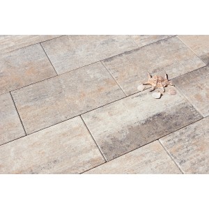 Diephaus Terrassenplatte Daras Muschelkalk, 60x40x4 cm, mit Muschel und Steinen auf ebener Oberfläche.