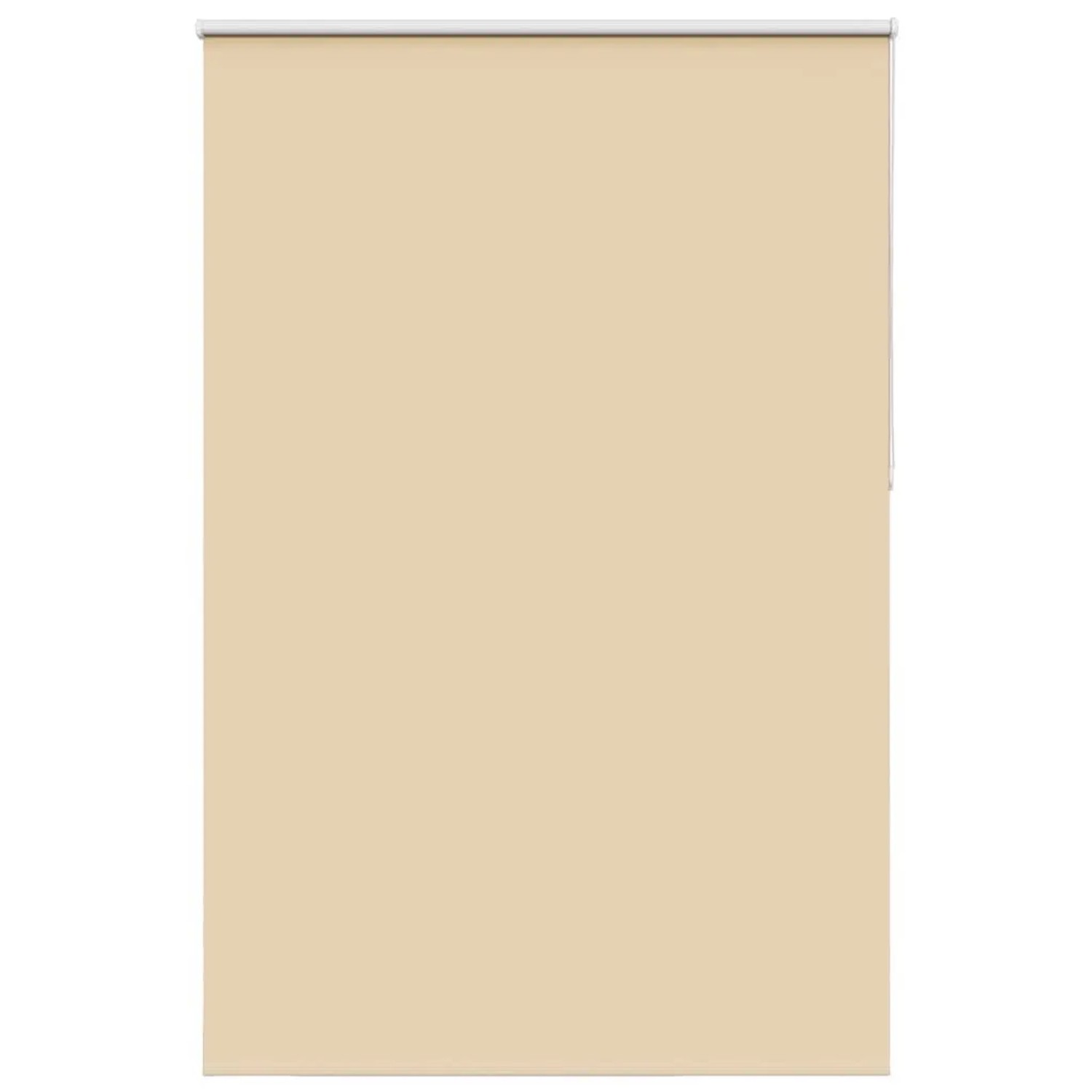 vidaXL Verdunkelungsrollo Beige 160x210 cm Stoffbreite 156,6 cm 4010802 günstig online kaufen