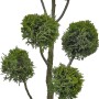 Formschnitt-Zypresse 'Castlewelland Gold' im Topf, ca. 100cm hoch. Immergrünes Formgehölz für Garten und Kübel.