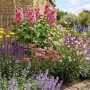 Sonnenbeet Themenset für Trockenlage mit Stockrosen, Schafgarbe, Salbei und Gaura in rosa, violett und gelb.