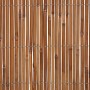 Floraworld Schilfrohr Sichtschutz Premium, 180x300cm, naturbelassene Optik, ideal für Garten und Balkon.