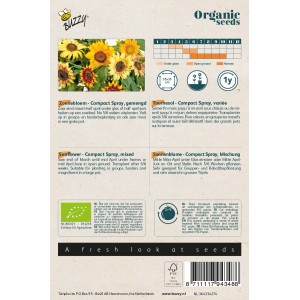 Sonnenblume 'Compact Spray Mischung' Buzzy Organic Bio Samen Ca. 1 g Kompakter Wuchs
