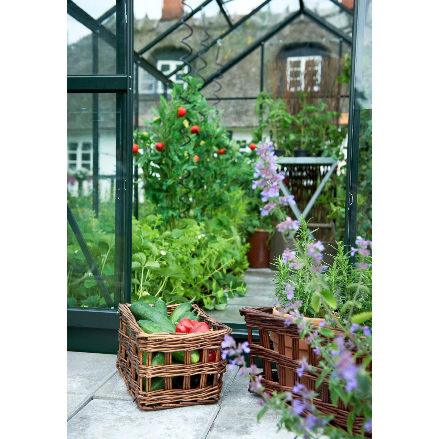 Halls Gewächshaus Popular 106: Grünes Gewächshaus mit Pflanzen, Tomaten und Ernte in Körben.