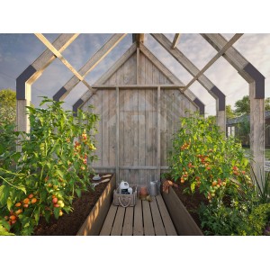 Innenansicht eines Holz-Gewächshauses mit Tomatenpflanzen in Hochbeeten, Holzboden und Gartengeräten. Helles Holz, viel Licht.