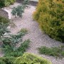 Gartenweg mit rotem Granitsplitt (5-8 mm) zwischen grünen Pflanzen und Büschen.