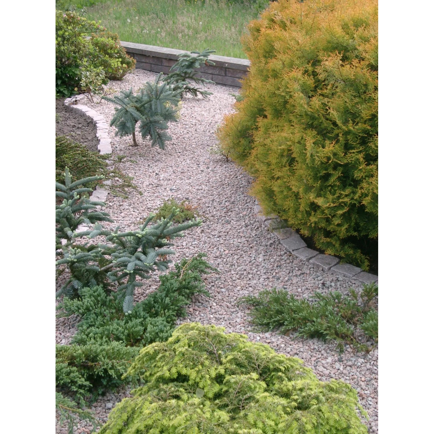 Gartenweg mit rotem Granitsplitt (5-8 mm) zwischen grünen Pflanzen und Büschen.