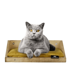 Katze liegt auf dunkegrauen Hundekissen in geflammter Holz-Wandmulde.