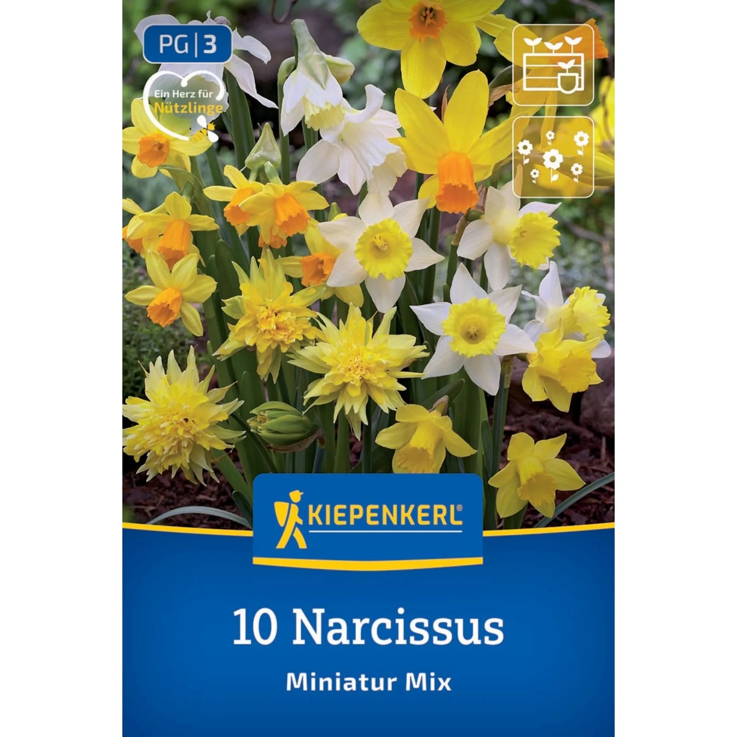 Kiepenkerl Blumenzwiebel Miniatur-Narzissen Mischung 10 Stück