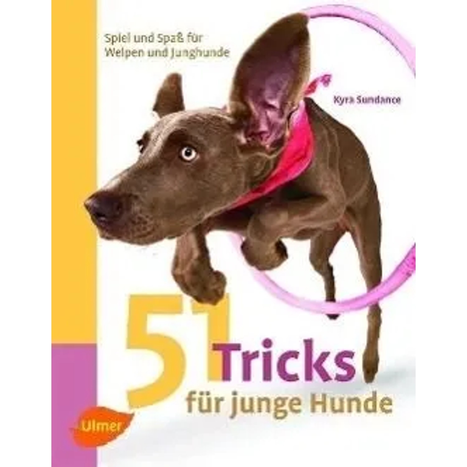 Image of 51 Tricks für junge Hunde