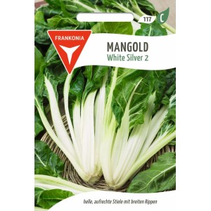 FRANKONIA Mangold White Silver 2