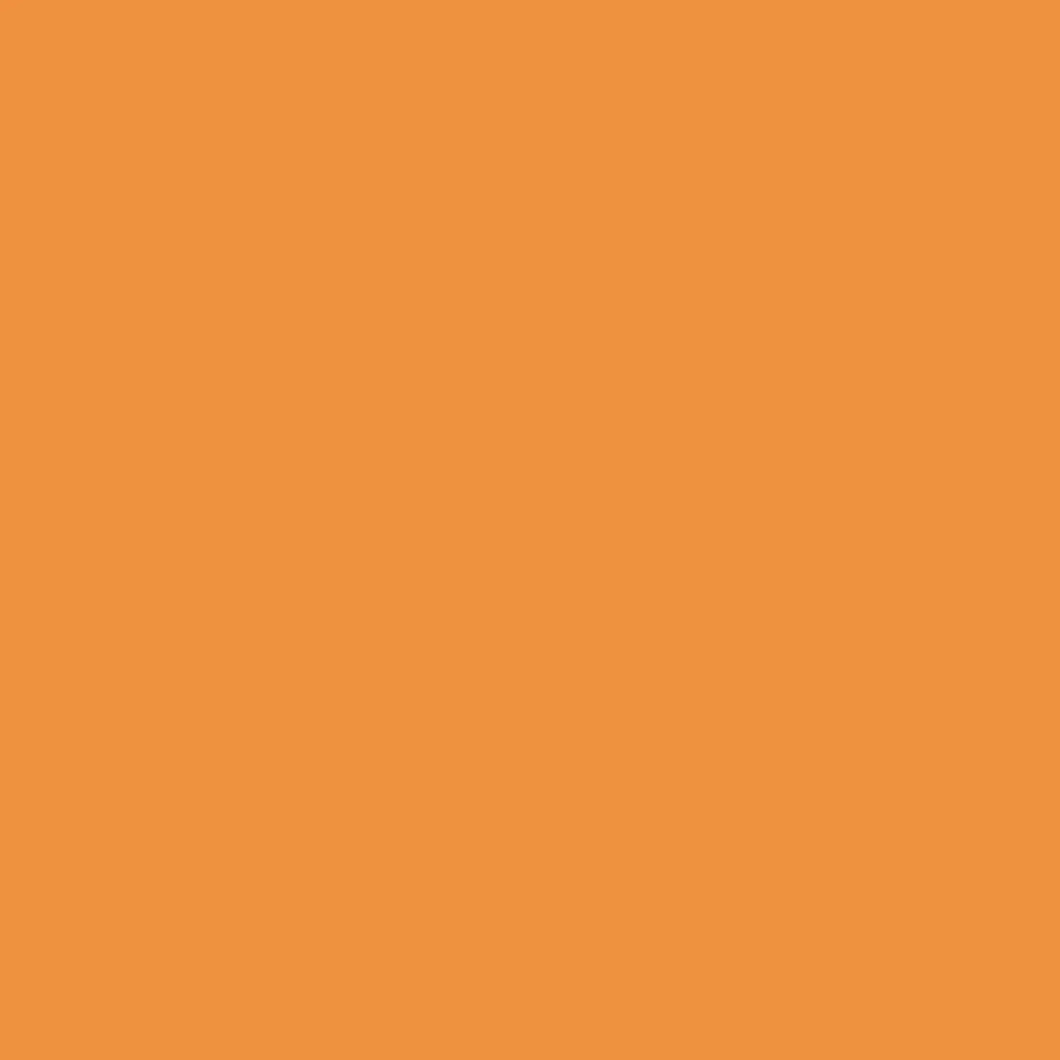 Matte, orange Schöner Wohnen Mineral Abtönfarbe für Innen & Außen, 250ml.